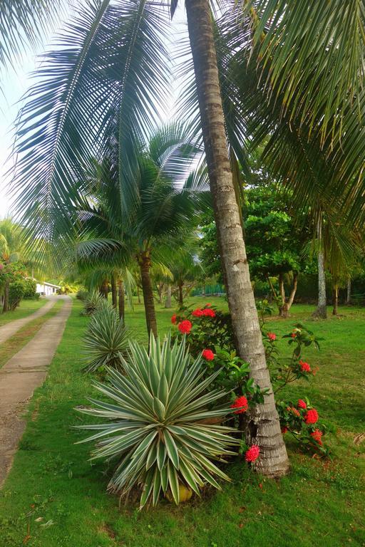 San Andrés Playa Tranquilo B&B And Dive Shop المظهر الخارجي الصورة