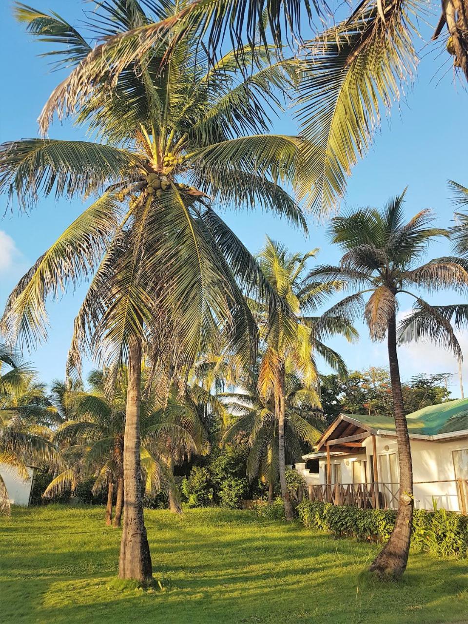 San Andrés Playa Tranquilo B&B And Dive Shop المظهر الخارجي الصورة